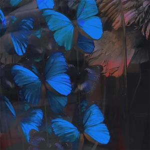 高清乱码🔞❌♋黄漫
