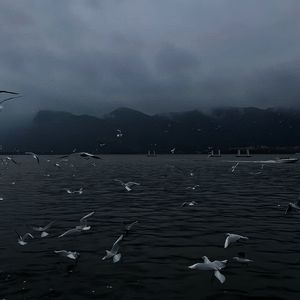 高清乱码🔞❌♋黄漫
